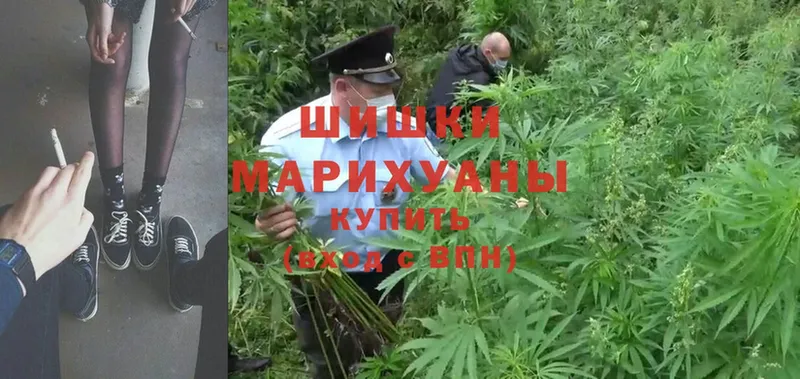 МАРИХУАНА SATIVA & INDICA  mega зеркало  Семилуки 